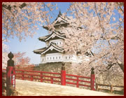 弘前市のさくら祭りは例年沢山の観光客が訪れています。また弘前城も築城400年の歴史があります。

観光時期　4月下旬〜5月上旬